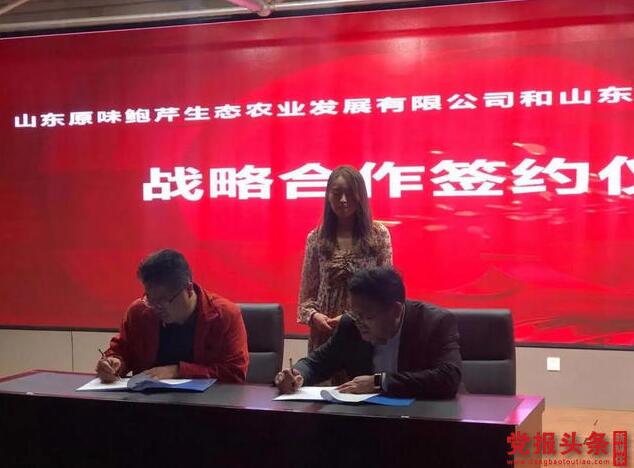 強強聯合做大做強鮑芹產業，助力鄉村振興