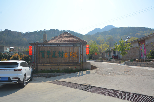 “百年花村”的致富新經