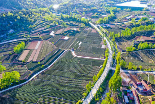 千方百計保增收 沂蒙老區吹響脫貧攻堅戰總攻號角