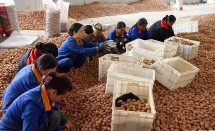 四川構建常態化監測幫扶體系 助力脫貧地區增強內生發展動力