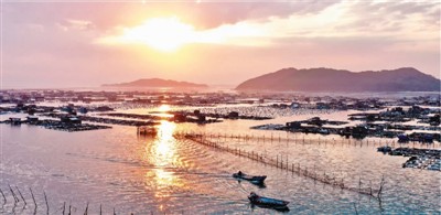 各地暖風吹 僑企復工復產忙