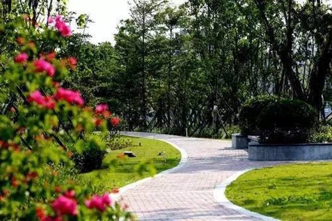 河北因地制宜建設“口袋公園”