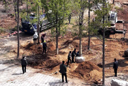 臨沂探索適合蒙山森林生態系統修復模式