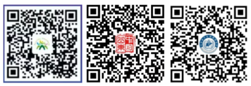@臨沂人，出行必備健康碼，速來領取！