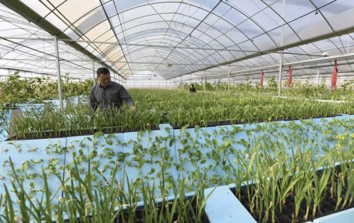 我國將有大范圍雨雪和寒潮 農業農村部部署抗干旱防寒潮工作