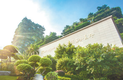 碧桂園集團—— 線上直播帶動創新營銷