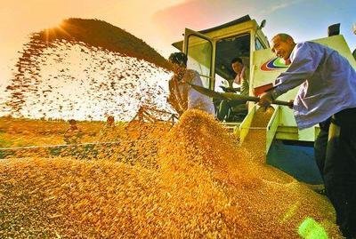 河南省大力打造全國重要的糧食生產核心區，到2025年全省將建成八千萬畝高標準農田