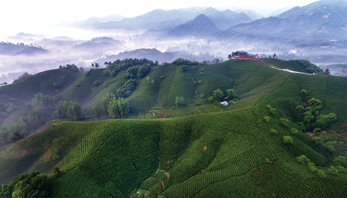 河南省加快鄉村旅游建設 到2025年，實現全省鄉村旅游年接待游客4億人次