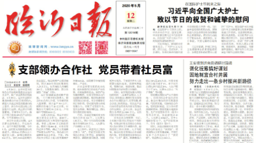 臨報頭條| 臨沂這個地方 支部領辦合作社 黨員帶著社員富
