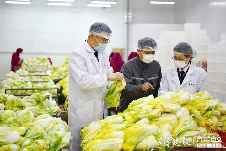 打破技術壁壘！煙臺泡菜9年后重入韓國市場，9年間經歷了什么？