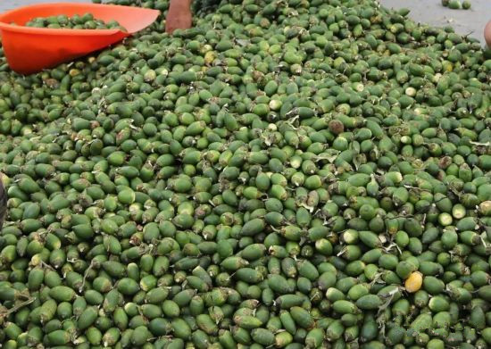 海南新增7個國家農產品地理標志