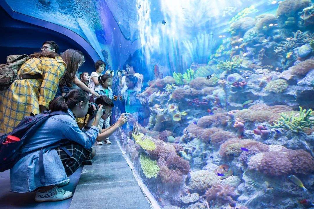 上海浦東：20家A級景區以及迪士尼樂園、海昌海洋公園等恢復開放