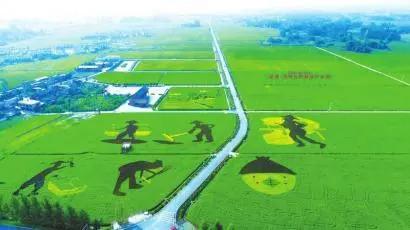 四川：糧油產業振興繪出“路線圖”