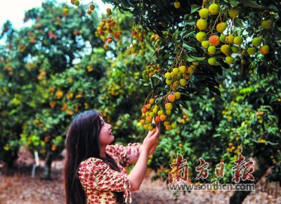 20200520162759990.jpg 20200520162759990.jpg