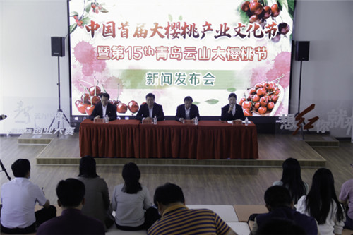 “中國首屆大櫻桃產業文化節”新聞發布會在平度舉行