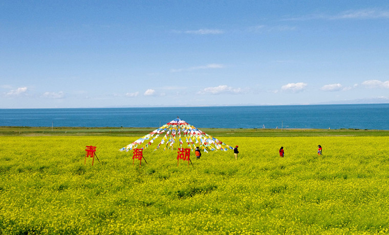 青海:以權力“減法”服務“加法” 激發市場“乘法”