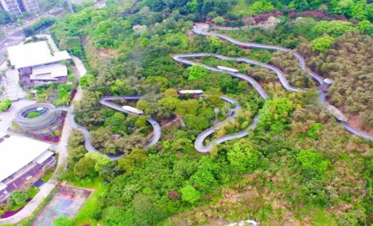 福建首批森林步道來啦！有路過你的家鄉嗎？