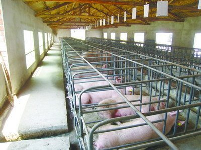 徐州完成49個規模化生豬養殖用地保障