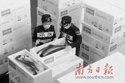 前4月深圳海關 進出口食品比增24.06%
