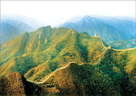 截至5月中旬 河北省營造林面積完成全年任務的62%