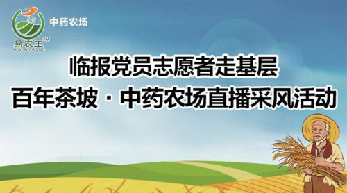 直播| “臨報黨員志愿者走基層”百年茶坡·中藥農場直播采風