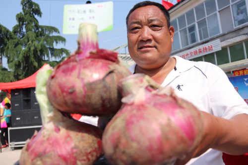 蘭山區白沙埠鎮：洋蔥念活致富經