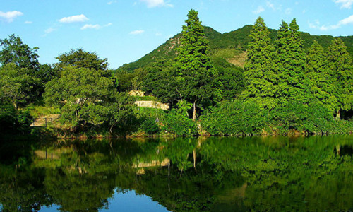 不變，力度：不減！藍天、碧水、凈土保衛戰再發力