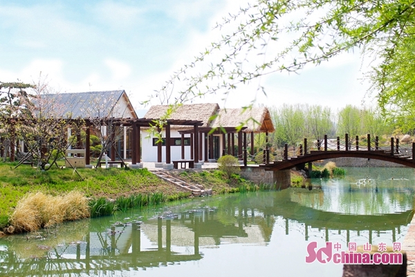 這就是山東|山東譜寫現代鄉村“田園牧歌”！