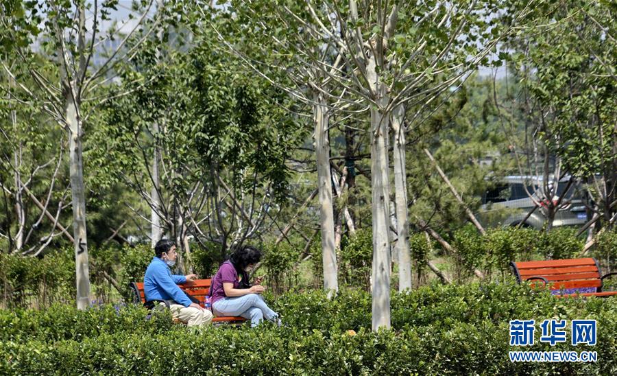 北京大興區舊宮鎮新建森林公園開放