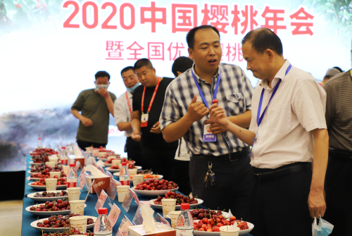2020中國櫻桃年會暨全國優質櫻桃大賽在臨沂市舉行