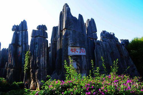 昆明石林、玉龍雪山等137個云南A級景區門票將在年內優惠一半