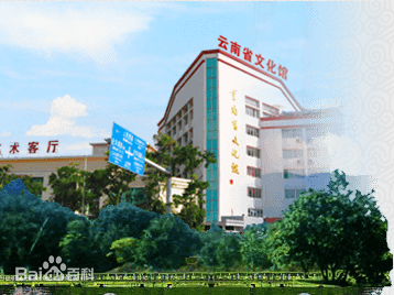 云南省文化館全面恢復對外開放