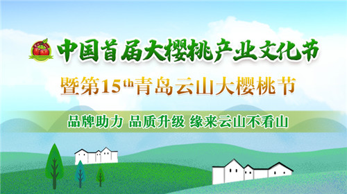 中國首屆大櫻桃產業文化節暨第15屆青島云山大櫻桃節開幕