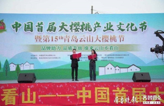 中國首屆大櫻桃產業文化節暨青島云山大櫻桃節開幕 