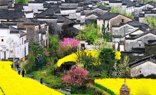 2020年上半年江西省擬定5A、4A級鄉村旅游點有哪些？