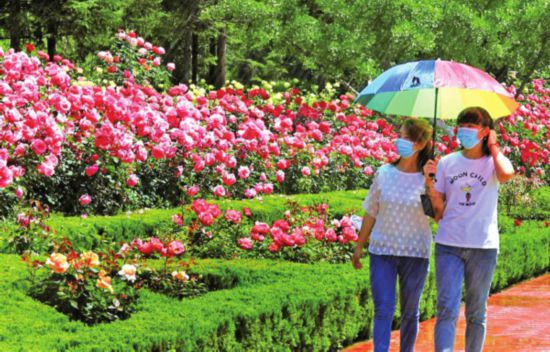 濟南：繁花競艷吐芬芳 閑游得享夏日香