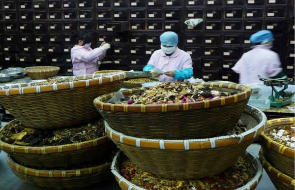 中藥“出海”，先要搭好標準化的“脈”