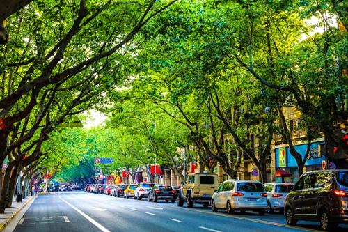 近26萬家上海小店實現營收V型反彈