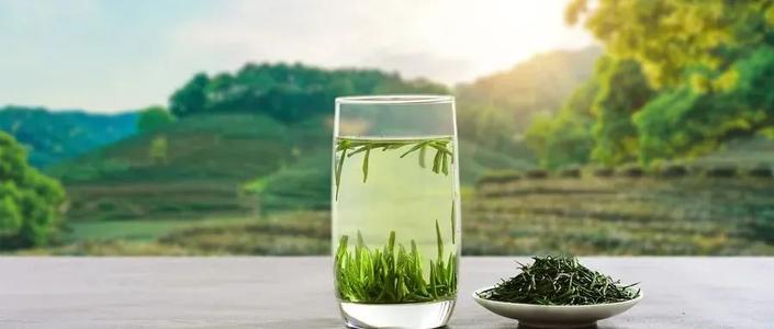 茶農業文化遺產的“機遇時刻”