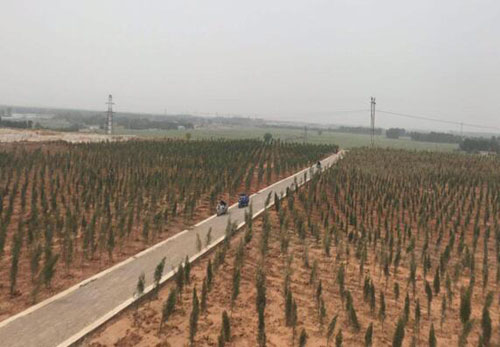 山東國舜：立足環保生產 助力綠色發展