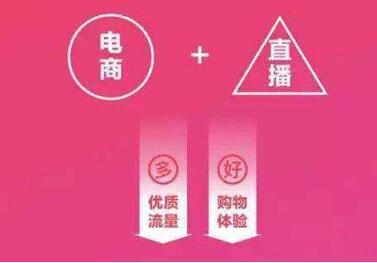 內蒙古自治區首個直播電商地方標準發布