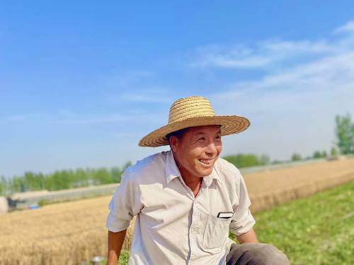 芒種至，夏收忙|蘭陵鎮12萬畝小麥喜迎豐收季