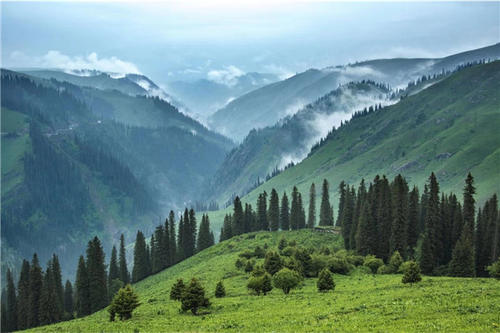 我國90%的重要生態系統類型和74%的野生動植物得到了保護