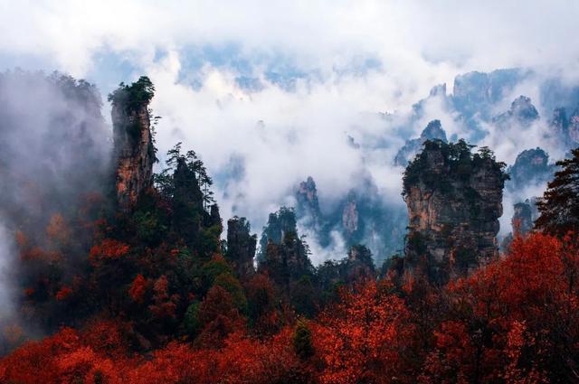我國世界遺產總數、自然遺產和雙遺產數量均居世界第一