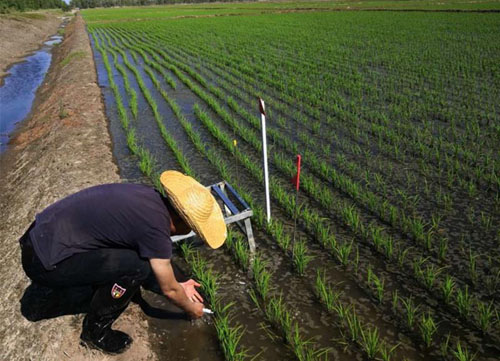 “指尖課堂”為農業插上科技的“翅膀”