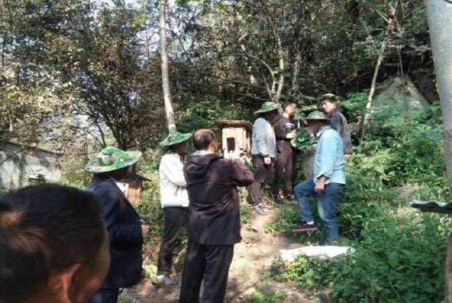河南南召喬端鎮：“鉆花粘蜜”產業忙 甜蜜致富奔小康