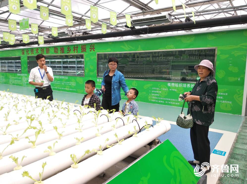 山東推出94條具體措施 促進消費提質升級 