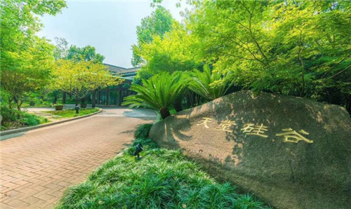 三年投資規模50億，打造綠色金融新高地 天堂硅谷區域總部落戶青島西海岸新區綠色金融中心  