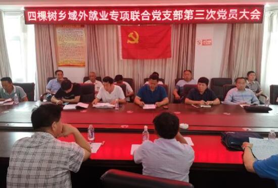 河南南召四棵樹鄉：黨建引領 照亮貧困群眾就業路