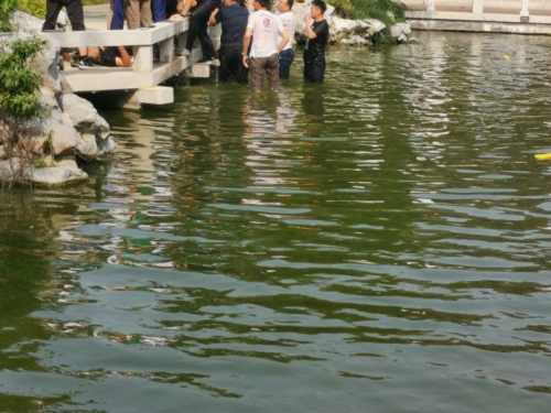 生死一線！三兒童水塘溺水！民警飛奔縱水救人！